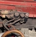 IMG_1028.jpeg